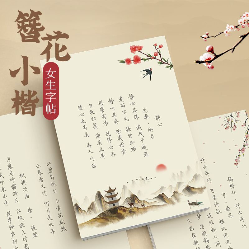 Chinese Calligraphy Practice Book - Buku Salinan Kaligrafi Bunga Kecil Hairpin