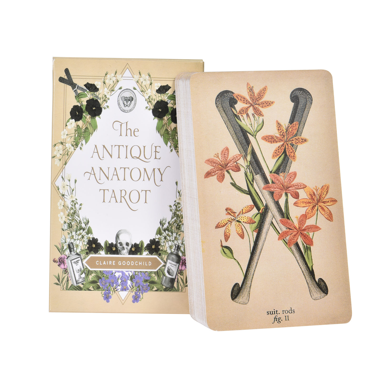 Tarot Deck With Guidebook - Kartu Tarot Anatomi Antik Versi Inggris,